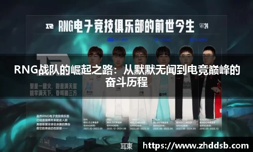 3377体育官网入口网页版