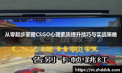 3377体育官网