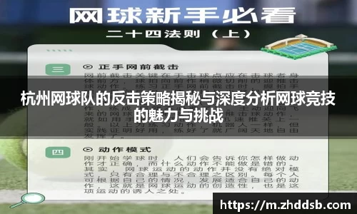 3377体育在线