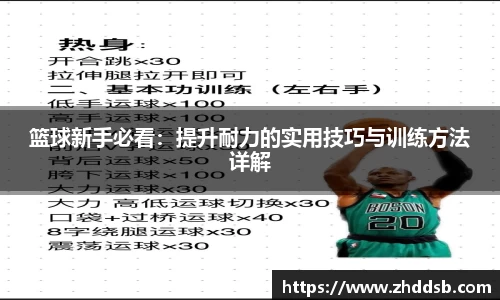 3377体育官网入口网页版