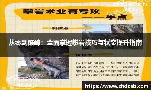 3377体育官网