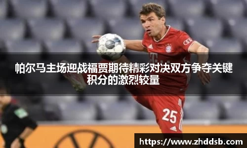 3377体育官网入口网页版