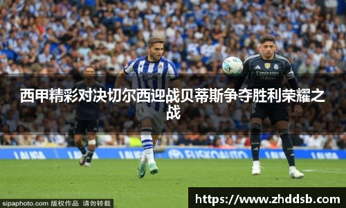 3377体育官网入口网页版