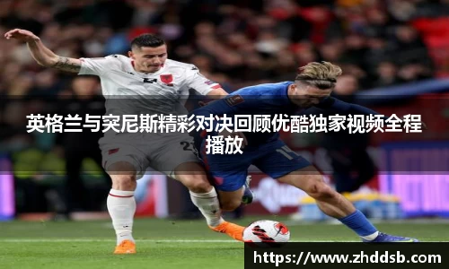 3377体育官网入口网页版