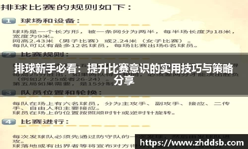 3377体育官网入口网页版